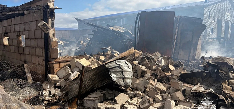 Сигарета привела к пожару: в Ярославской области погибли люди и животные_314971