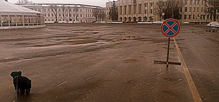 В Ярославле на Советской площади поставили знаки, запрещающие парковку