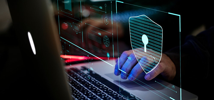 Число DDoS-атак в Центральном федеральном округе за год выросло почти в три раза