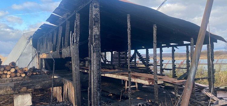 Под Ярославлем сгорела пилорама_306672