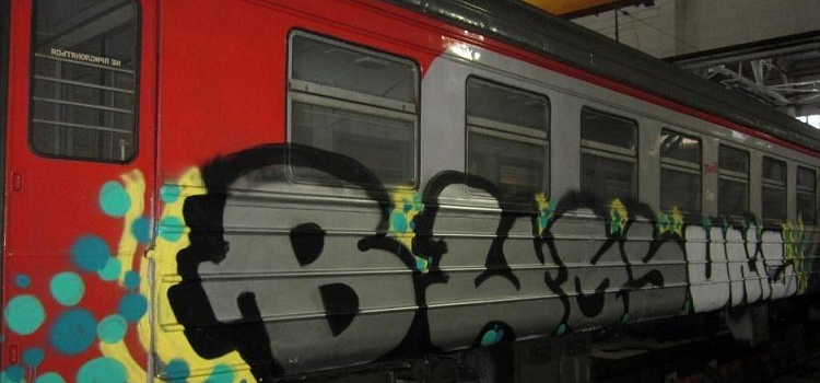 В Ярославле задержали троих молодых людей, уродовавших вагон электрички
