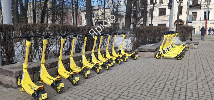 В Ярославле стартовал сезон самокатов