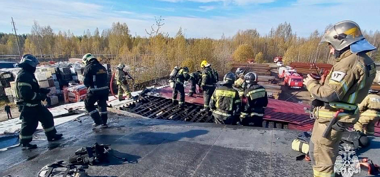 В Ярославле горело предприятие по производству огнетушителей_284057
