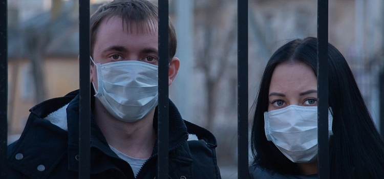 Еще 179 ярославцев вылечились от COVID-19