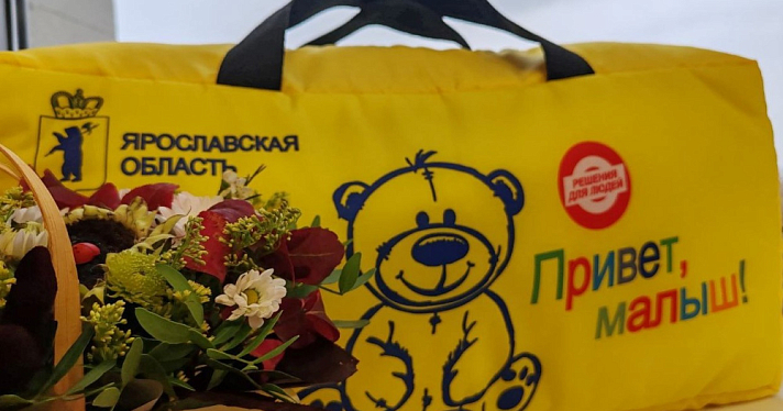 В Ярославской области ввели новые меры поддержки молодым матерям