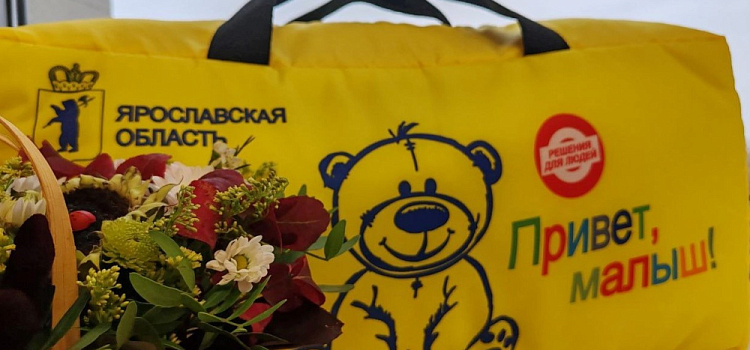 В Ярославской области ввели новые меры поддержки молодым матерям