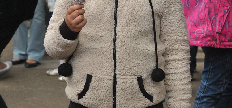 День мороженого 2015 в Ярославле_32735