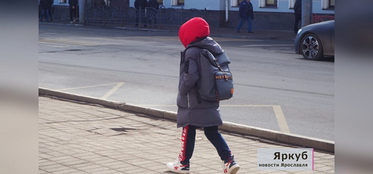 Ярославцы обратились к Михаилу Евраеву с просьбой построить школу в Заволжском районе