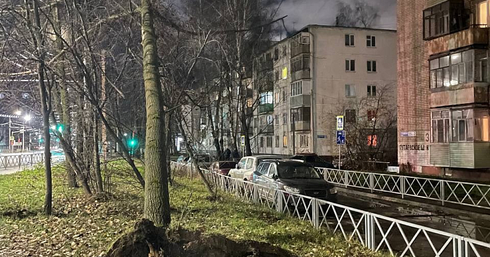 В Ярославле от упавших деревьев и веток пострадали несколько автомобилей, а также молодая женщина с детьми_225555