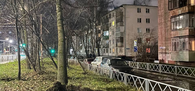 В Ярославле от упавших деревьев и веток пострадали несколько автомобилей, а также молодая женщина с детьми_225555