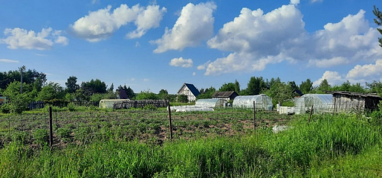 Внимание! В Ярославской области разыскивается женщина с нарушениями психического развития 