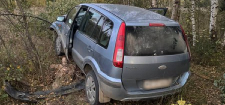 В Ярославской области в ДТП погиб водитель