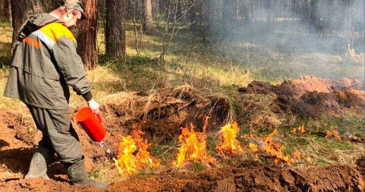 За сутки в Ярославской области более 63 тысяч гектаров земли пострадало от пожаров