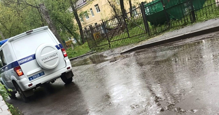 В Ярославле у детского сада погиб лось