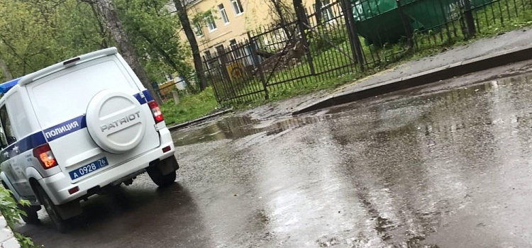 В Ярославле у детского сада погиб лось