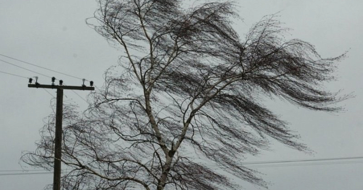 МЧС экстренно предупредили об усилении ветра в регионе
