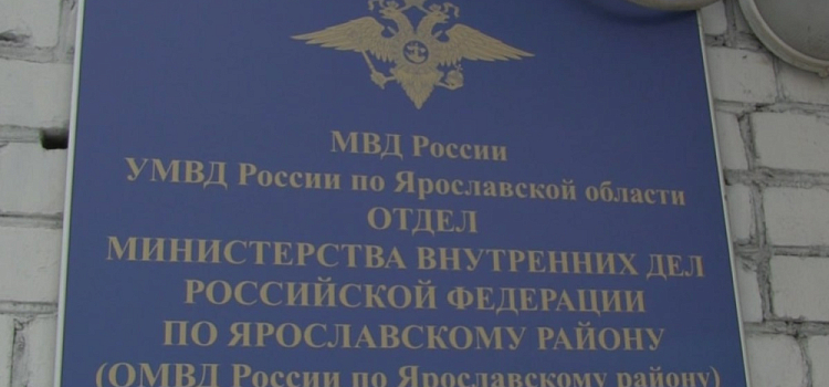 В посёлке под Ярославлем полицейские открыли огонь, чтобы задержать неадекватного мужчину с ножами
