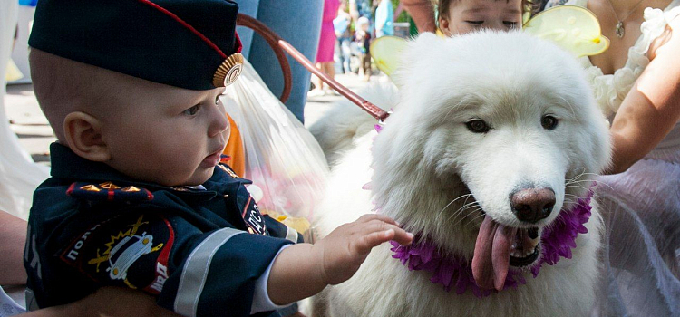 В Ярославле прошел фестиваль детской техники_75919