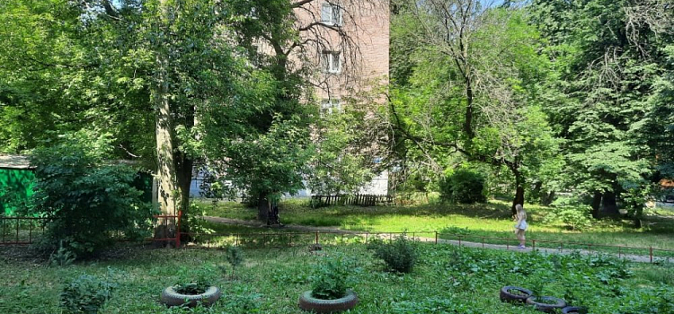 Ярославцы будут платить за ремонт асфальта во дворах