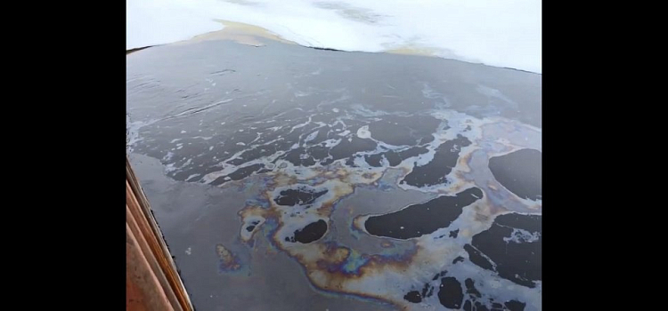 Экологическая катастрофа: в Ярославле проверили Волгу на нефтепродукты
