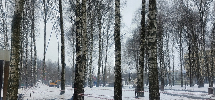 Ярославцев ужаснуло благоустройство Юбилейного парка_295086