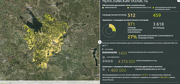 «Гринпис» посчитал неиспользуемые поля и составил карту земель, которые можно превратить в лес. В Ярославской области таких 27 процентов_158432