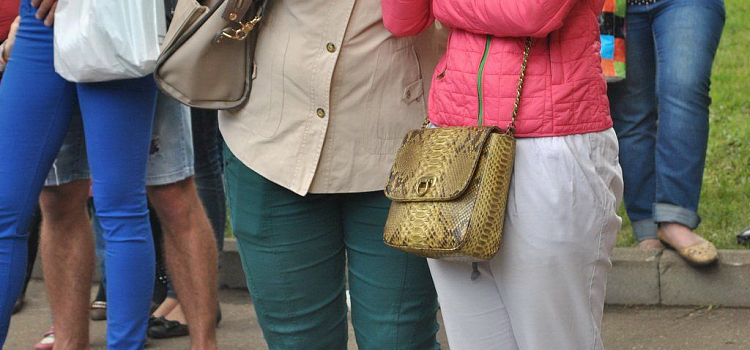 День мороженого 2015 в Ярославле_32738