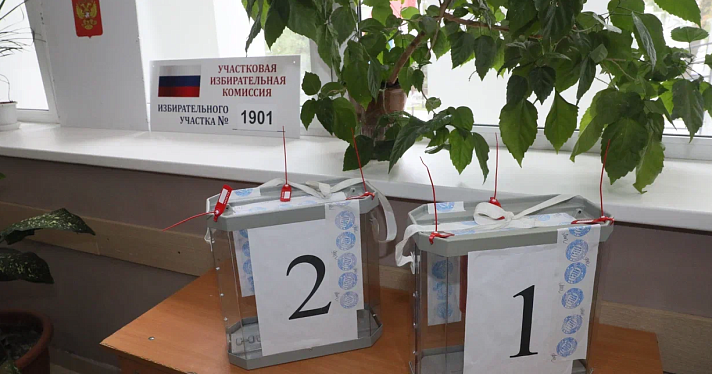 Явка на выборах губернатора Ярославской области превысила 6,5 процентов_220275
