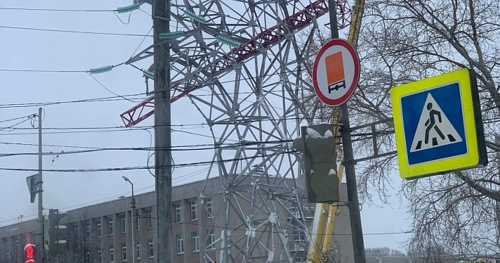 В Ярославле установили электроопору в виде гигантского медведя_228921