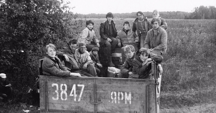 Ярославский сенатор предложила школьников и студентов отправлять «в поля на картошку»