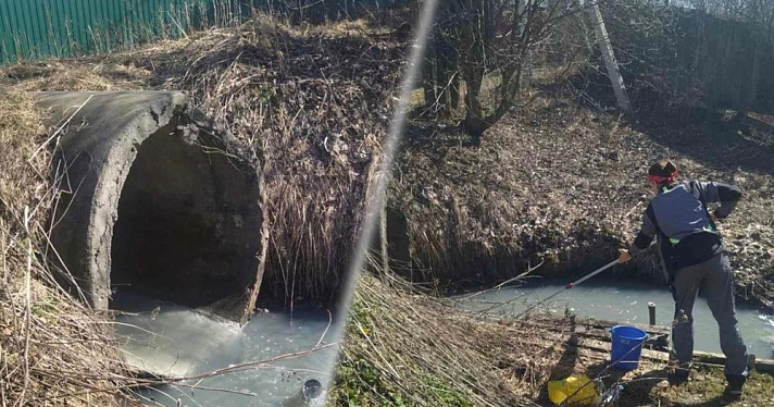 Дачники страдают и бьют тревогу: в Ярославле экологи проверят зловонный ручей с мутной водой
