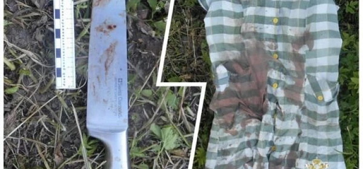 В Ярославской области женщина пырнула мужчину в живот за обидные слова