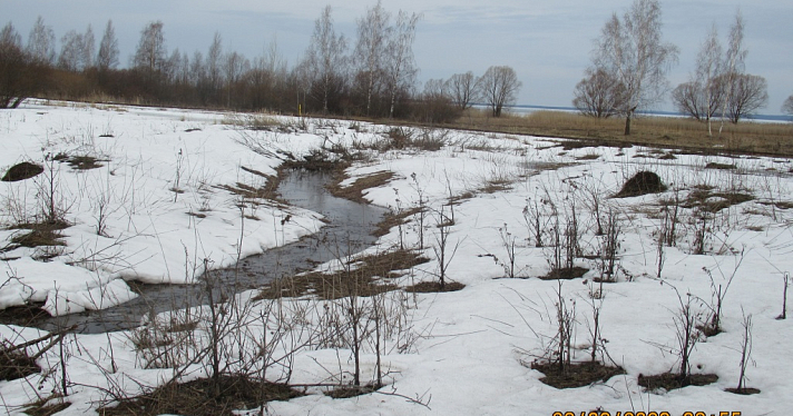 В Ярославской области в Плещеево озеро попали сточные воды из воинской части_236862