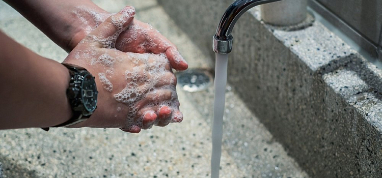 39 выздоровели, 38 заболели: статистика по коронавирусу в Ярославской области