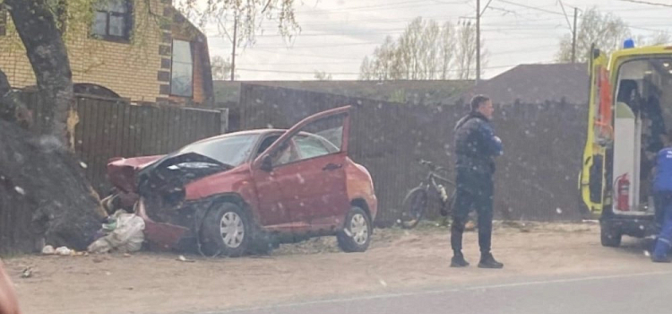Влетел в дерево: в Ярославле по вине пьяного водители в ДТП пострадали люди