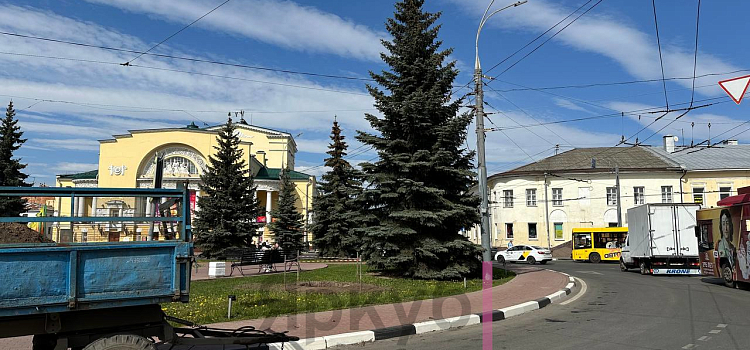 С площади Волкова в центре Ярославля пропали ели_272724