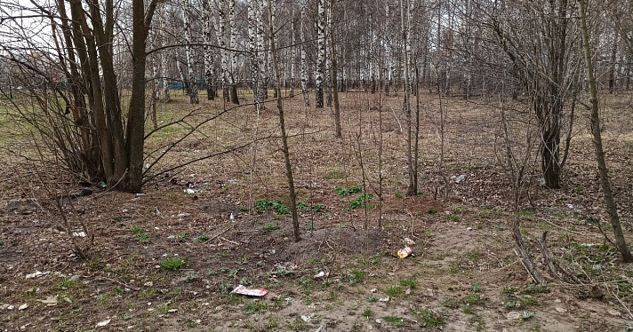 Ярославец попросил помощи в добровольческой уборке брагинского парка «У попугая»_157619