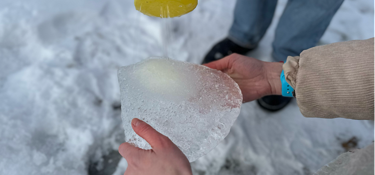 «Мы создаём то, чего там нет, из того, что там есть». Большой разговор о ленд-арте с сотрудницей ЯХМ_310498
