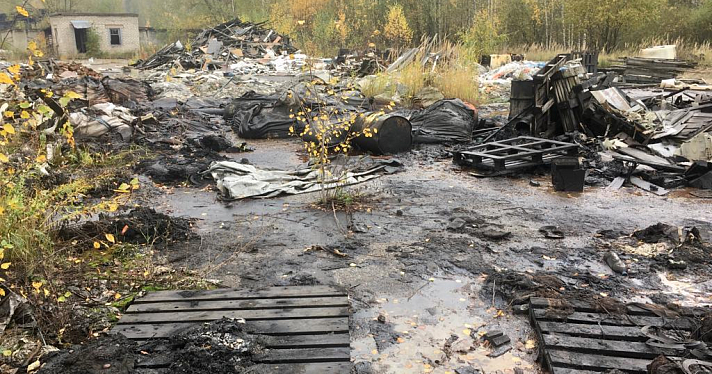 Росприроднадзор выяснил, что содержание токсичных веществ на свалке под Ярославлем превышено в 112 раз_222650