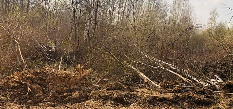 Из-за реконструкции моста через Солоницу автомобильный поток пустили по дороге на Харино: многолетние деревья на обочинах вырвали, вал не убрали_157862