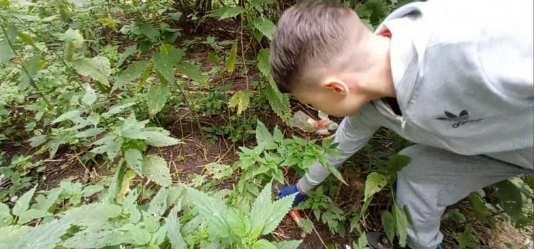 Мэр Владимир Волков сравнил 14-летнего ярославца с супергероем