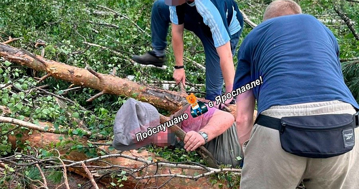 Ярославец под завалами из деревьев провёл три часа