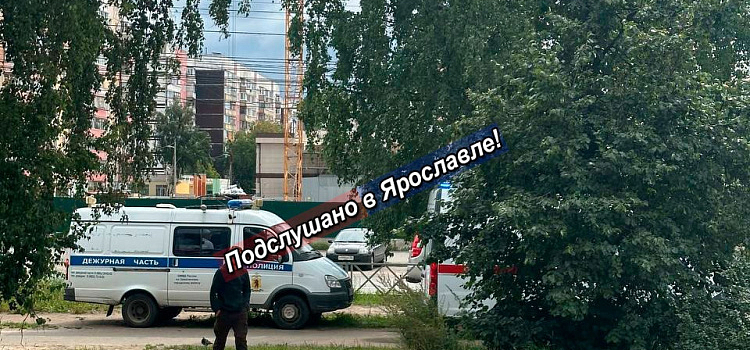 В Ярославле на проспекте Машиностроителей обнаружено тело мужчины