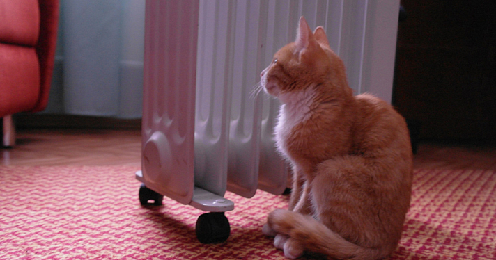 В Ярославле открыта «горячая линия» по вопросам отопления