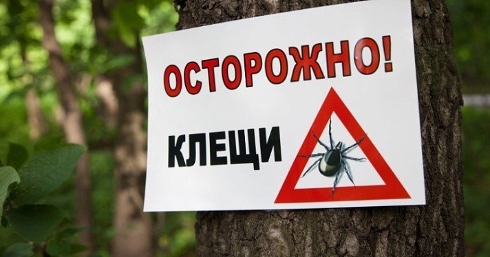 Специалисты назвали клещевые очаги в Ярославской области