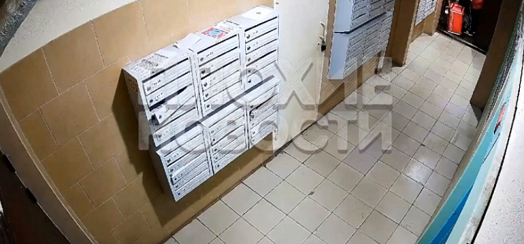 В Ярославле доставщик еды избил мужчину в подъезде_236186