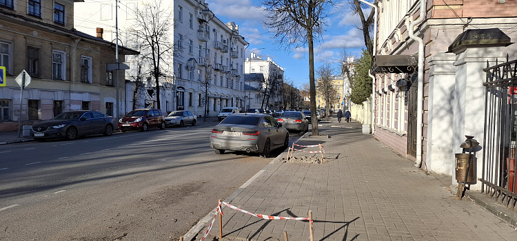 В центре Ярославля готовят почву к высадке новых деревьев_293860