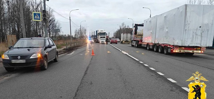 Под Ярославлем водитель Renault сбил пешехода