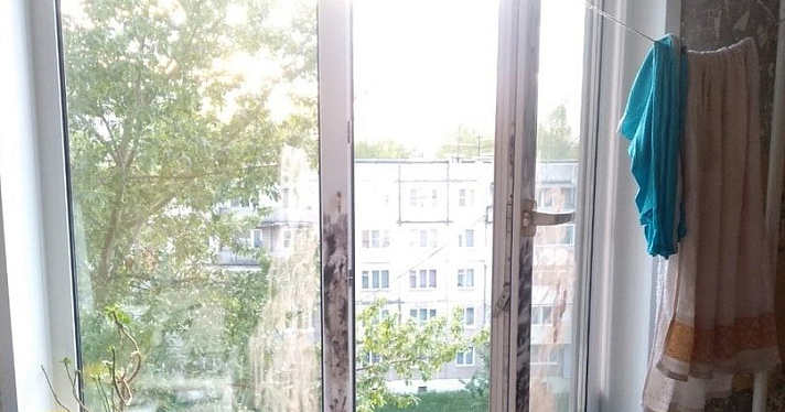 Из окна многоэтажки в Ярославле выпала девушка