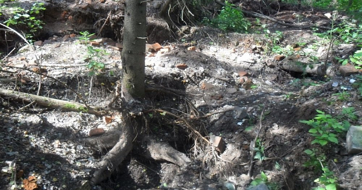В Переславском районе обнаружили следы «черных копателей»